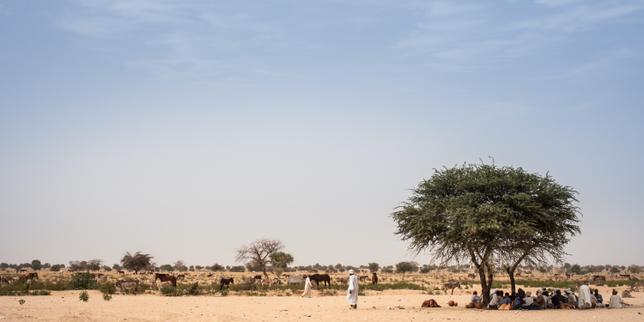 Tchad : l'état d'urgence levé dans les provinces de l'est et du nord