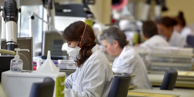 « A l'université, la destruction des collectifs de travail est à l'oeuvre »