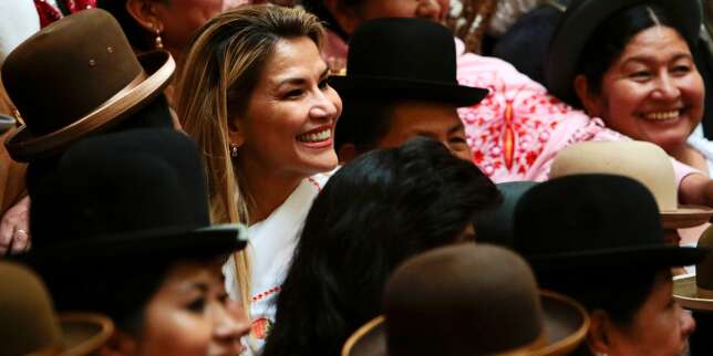 En Bolivie, la candidature surprise de Jeanine Añez suscite de vives réactions