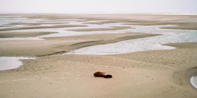 Quand les rêves des migrants se noient dans la Manche