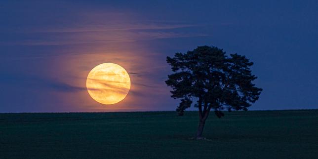 Astronomie : comment suivre la Lune en 2020