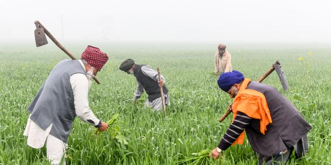 L'Inde tente de relancer une économie atone
