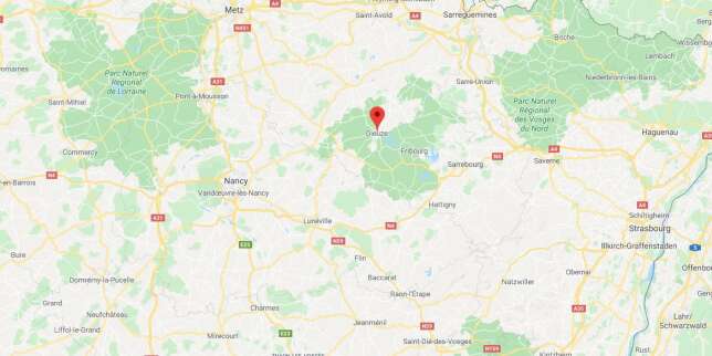 Moselle : un homme blessé par balle après avoir agressé un gendarme, la piste terroriste non exclue