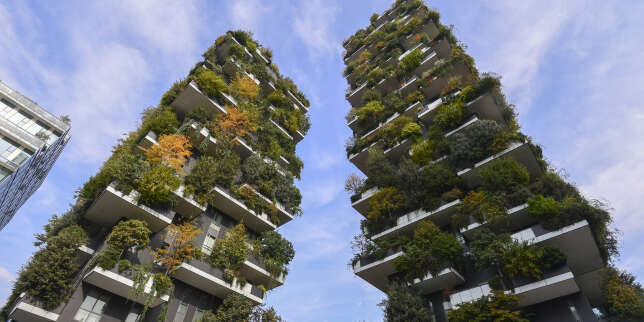 « La nature peut-elle humaniser la ville ? » Une conférence Le Monde Cities et « Le Temps » à Genève