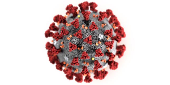 Ce que l'on sait sur le coronavirus en dix questions