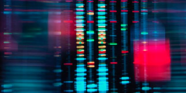 Transmission de l'intelligence par la mère, une fausse information qui refait surface
