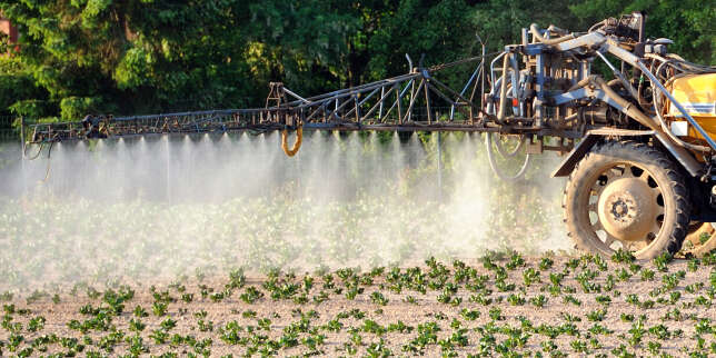 La Cour des comptes dresse un constat d'échec des politiques publiques de réduction des pesticides