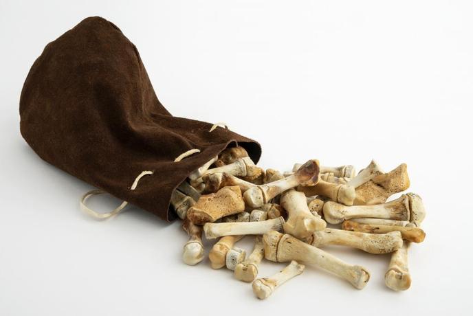 Le casse-tête inuit, fait d’os et de peau de phoque.