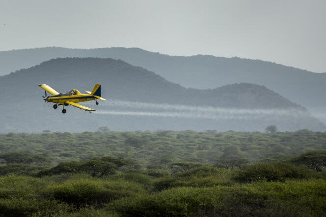 Un avion pulvérise des pesticides sur un essaim de criquets pèlerins, à Nasuulu Conservancy, dans le nord du Kenya, le 1er février.