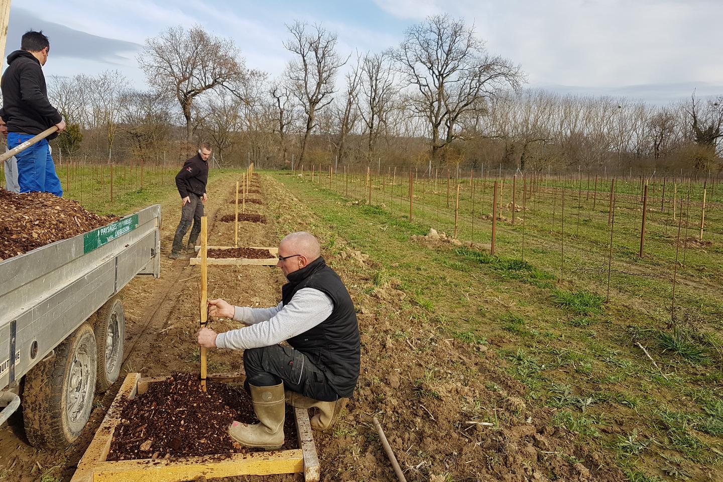 S’adapter ou mourir : des vignerons testent la résilience de leurs vignes