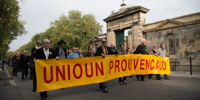 « Pour les langues régionales, en danger pressant, il faut ouvrir les fenêtres de la diversité »