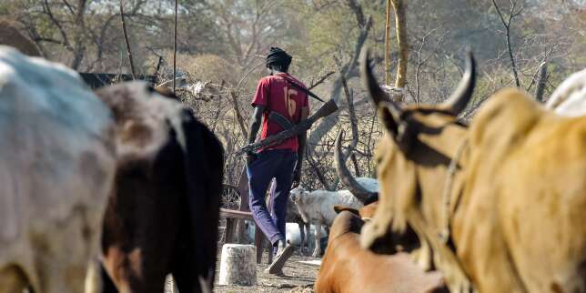 Au Soudan du Sud, la guerre sans fin des éleveurs surarmés