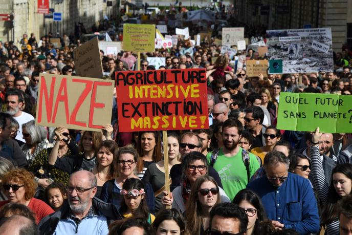 Des manifestants brandissent des pancartes indiquant « Agriculture intensive=extinction massive » alors qu’ils participent à la « Marche du Siècle » à Bordeaux, le 16 mars 2019.