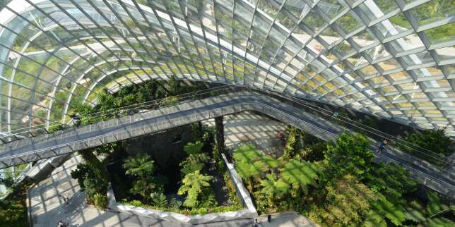 Comment la nature incite l'architecture à se réinventer
