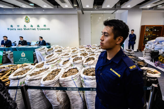 Conférence de presse à la douane de Kwai Chung à Hong Kong, après une saisie record d’écailles de pangolins, le 1er février 2019.