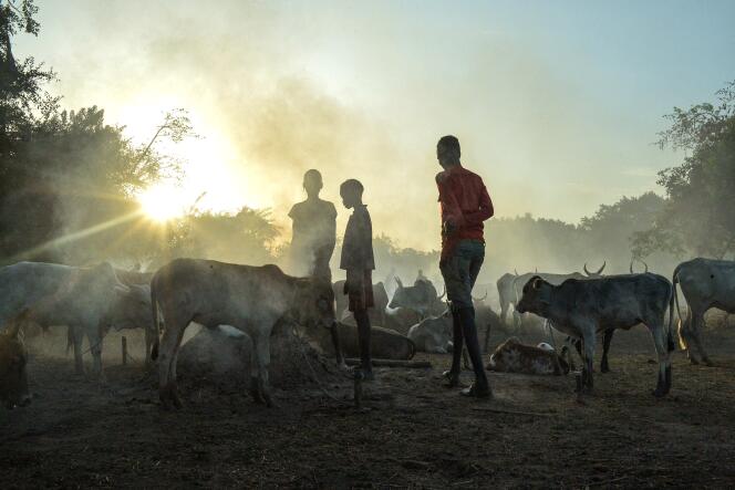 De jeunes éleveurs et leur troupeau, à Udier (Soudan du Sud), le 8 mars 2019.