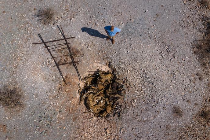 Burger Schoeman, directeur du Thuru Lodge, en Afrique du Sud, regarde la fosse commune où sont déversés les cadavres des animaux victimes de la sécheresse, le 15 janvier 2020.