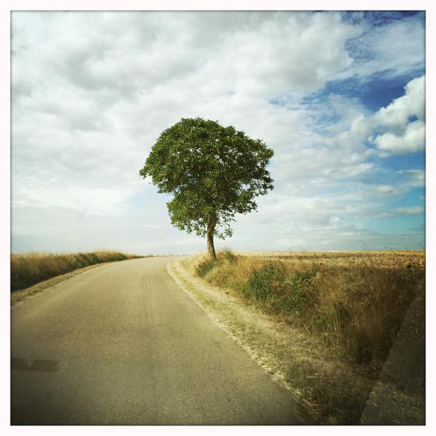 Photo extracted from the series 