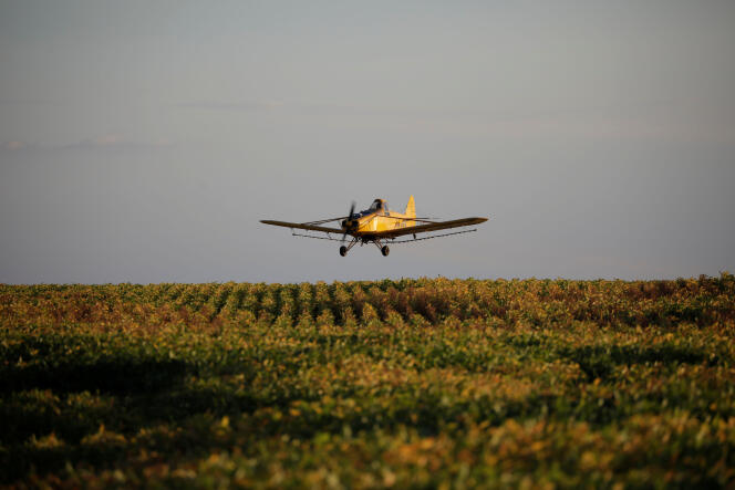 Un avion pulvérise un champ de soja près de Palmeirante, au Brésil, en février 2018.