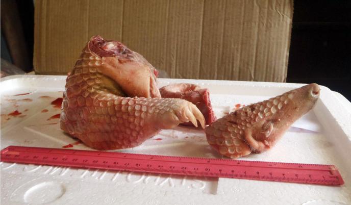 Une Fois Le Coronavirus Oublie L Appetit Des Chinois Remettra Le