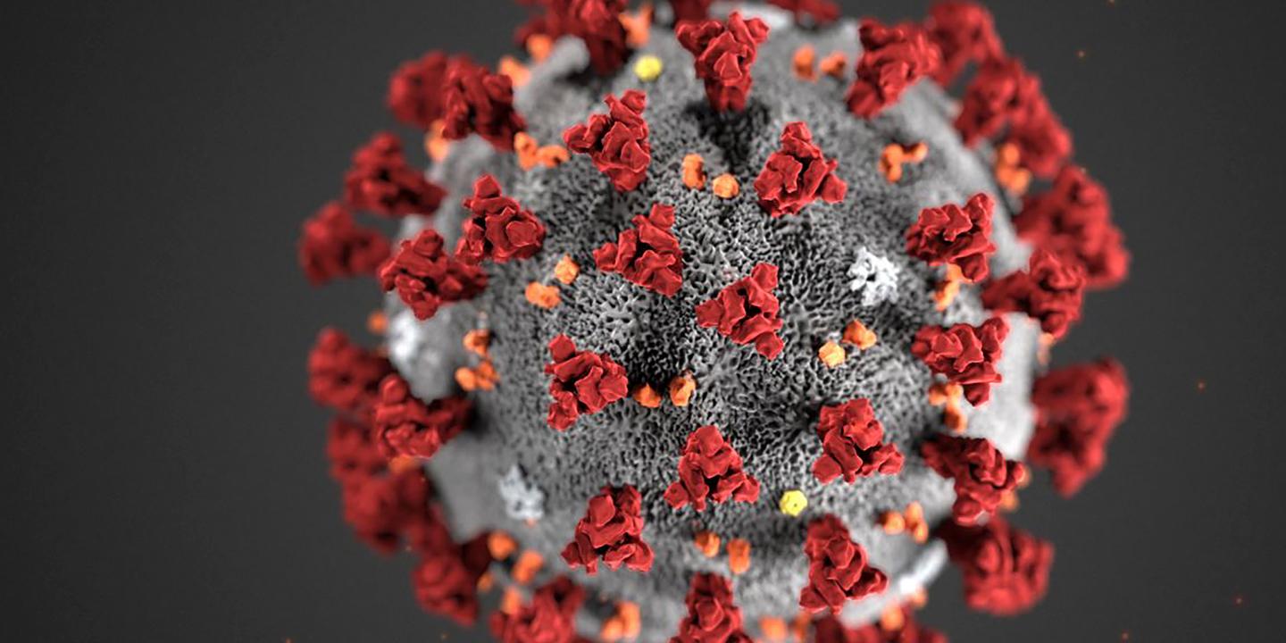 Un premier cas de nouveau coronavirus déclaré en Algérie ...