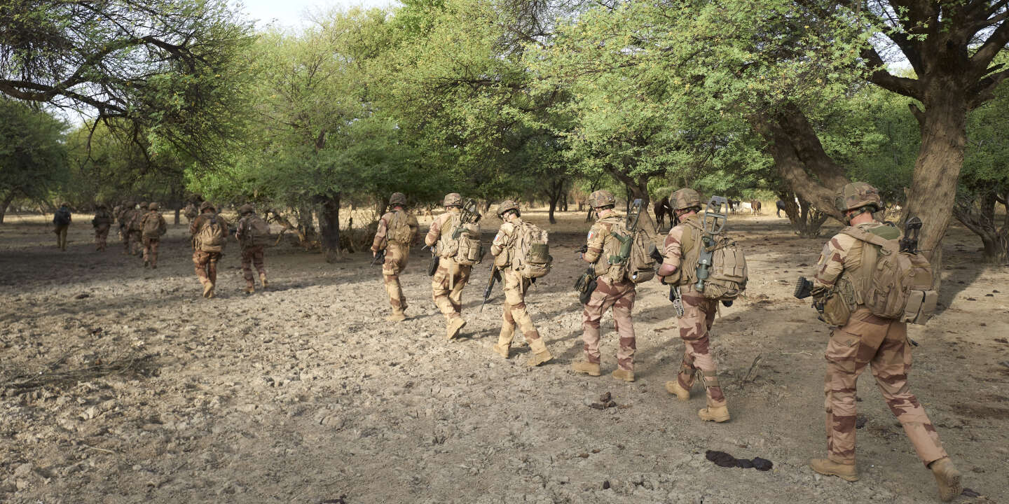 Paris s’indigne des propos de l’ambassadeur malien contre les soldats français
