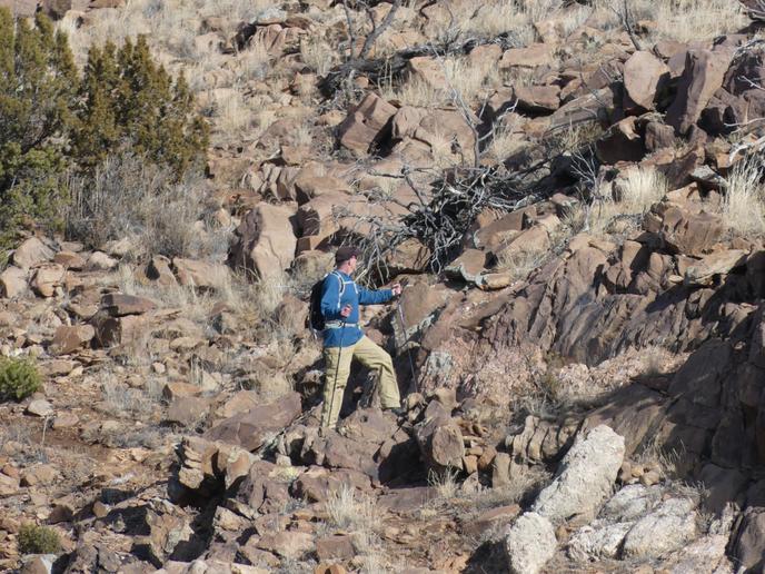Mais au téléobjectif (600 mm), il ressort pleinement.