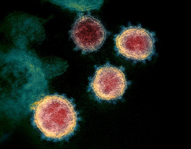 Le virus SARS-CoV-2 qui cause la maladie Covid-19.