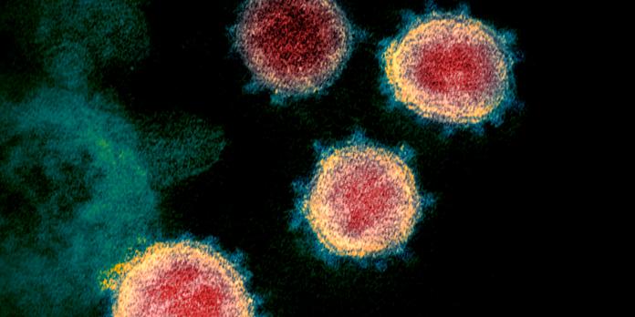 Angine Grippe Varicelle Les Maladies Virales En Chansons