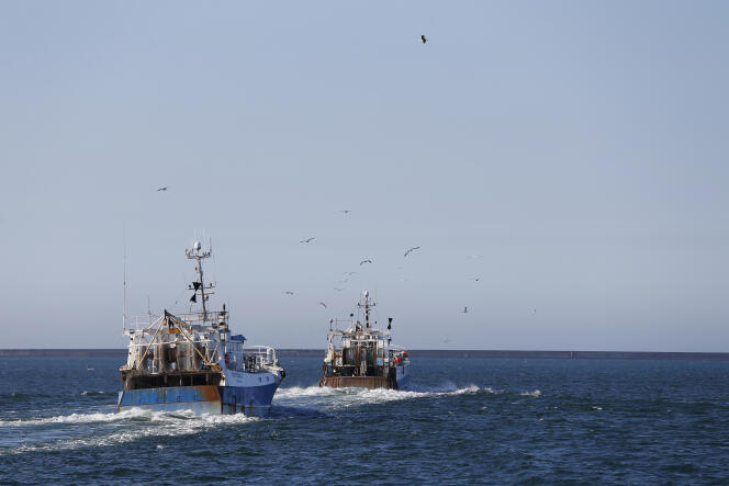 Des bateaux de pêche quittent le port de Cherbourg-Octeville (Manche), en juin 2018.