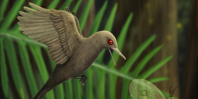 Un Dinosaure Avien De La Taille D Un Colibri