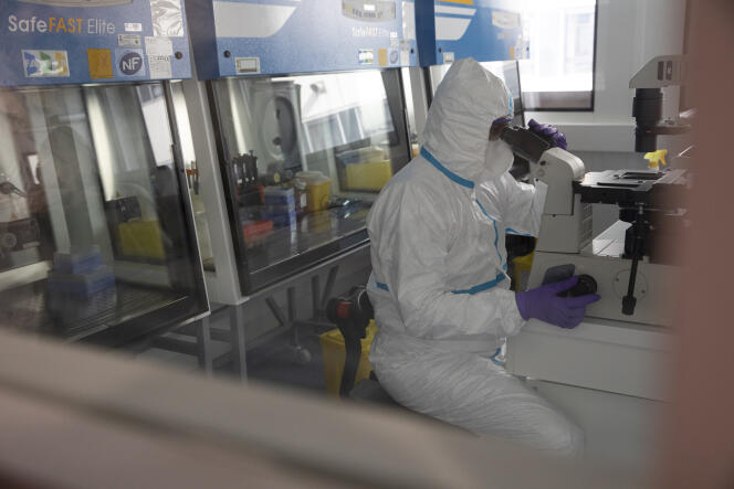 Un médecin effectue des recherches sur le coronavirus, dans les laboratoires de recherche de l'hôpital Henri-Mondor, à Créteil.