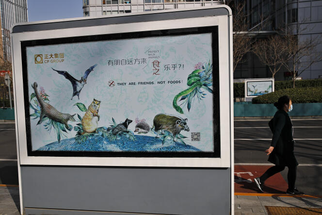Une affiche présente les animaux sauvages comme des amis, et non comme nourriture, à la suite de l’épidémie de coronavirus, à Pékin, le 11 mars.