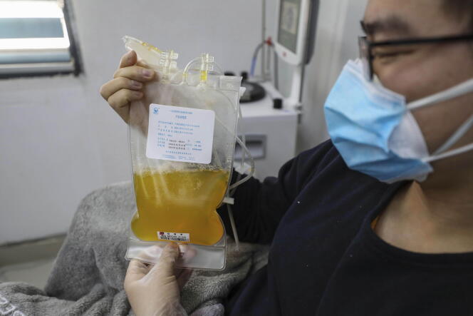 Echantillon de plasma sanguin prélevé chez un convalescent du Covid-19, à Wuhan (Chine), le 18 février.