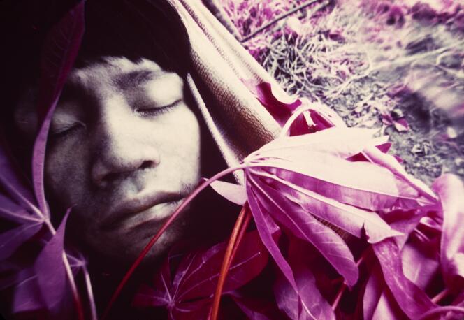 Jeune Wakatha u thëri, victime de la rougeole, soigné par des chamans et des aides-soignants de la mission catholique Catrimani, Roraima, 1976.