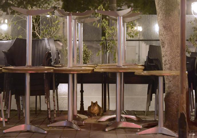 SUr l’avenue Habib-Bourguiba, à Tunis, le 19 mars 2020.
