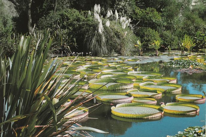 Les Cedres A Saint Jean Cap Ferrat Un Jardin Botanique D Exception
