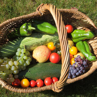 Panier de fruits et légumes de saison Origine France 