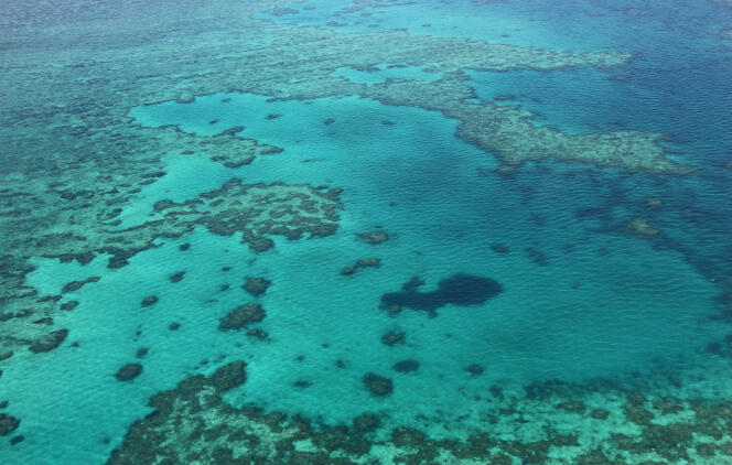 La Grande Barrière de corail dans l’Etat austalien du Queensland, en 2014.