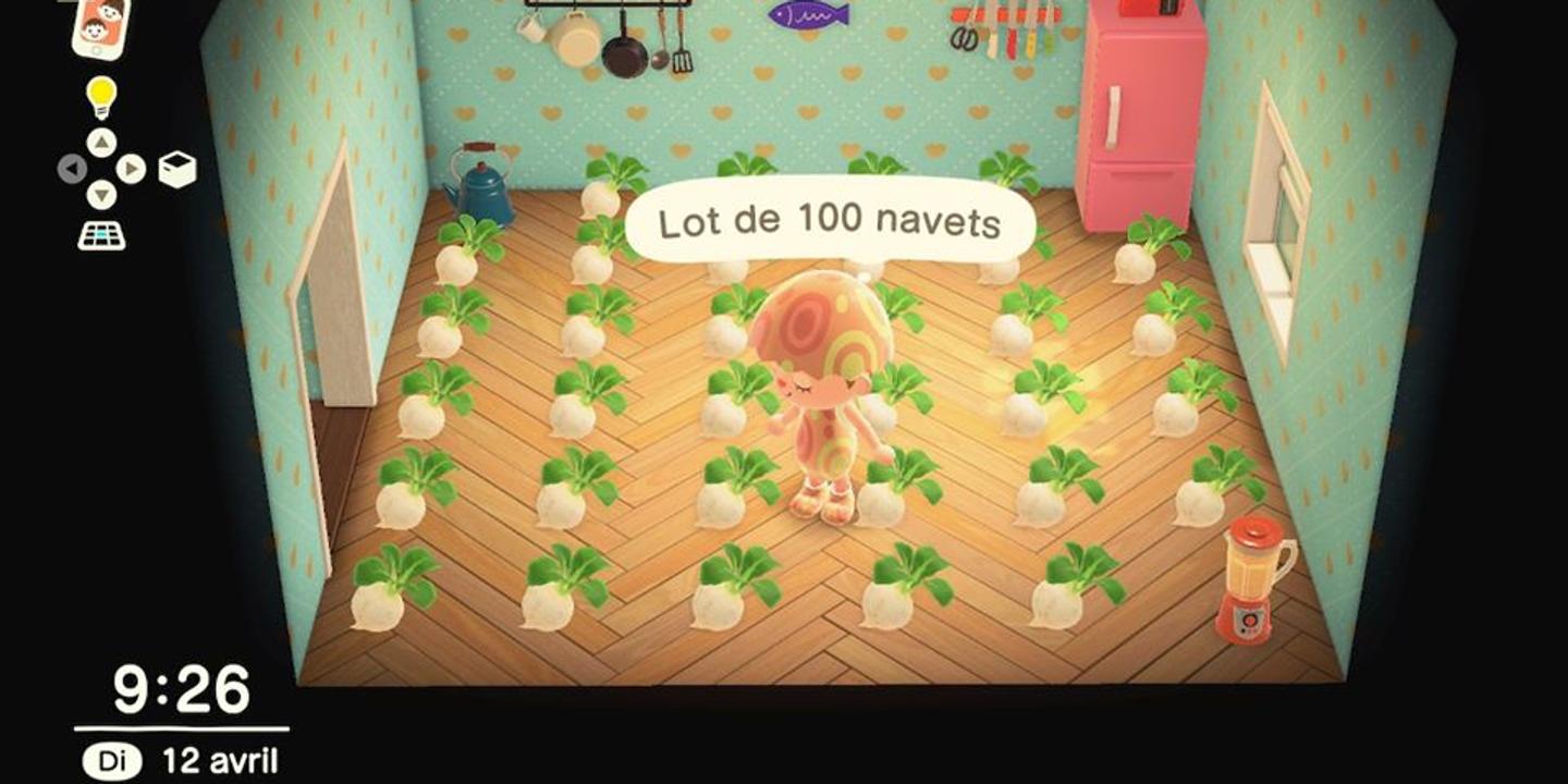 Dans Animal Crossing New Horizons On Ne Plaisante Pas Avec Le