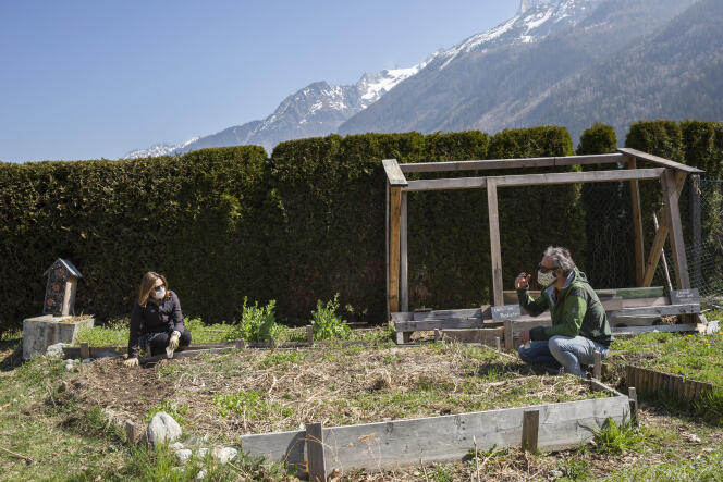 Dans un jardin collectif des Barrats, à Chamonix, en avril 2020. Près de 800 paniers solidaires ont été livrés par les riverains depuis le début du confinement.
