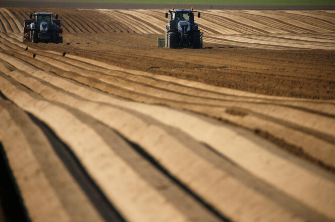 Des agriculteurs plantent des pommes de terre, à Haynecourt (Nord), le 14 avril.