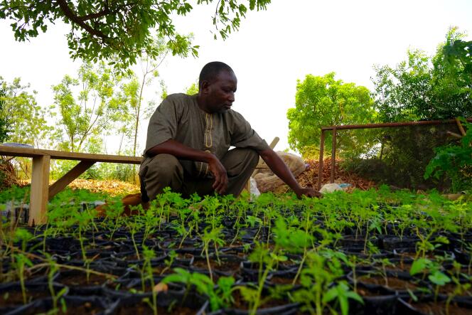 Souleymane Belemgnegre a fondé l’association en 2013, après avoir été formé à l’agroécologie par des anciens élèves de Pierre Rhabi au Burkina.