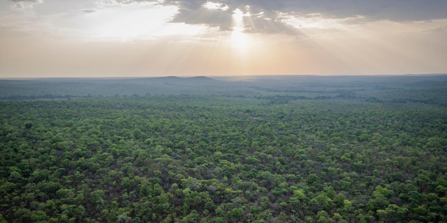 Au cœur de l’Afrique, la guerre au nom de la nature