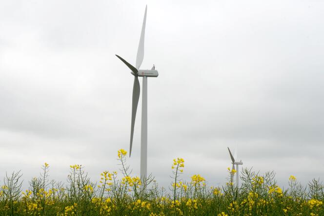 Une éolienne dans un champ de colza, à Magny (Eure-et-Loir), le 4 mai.