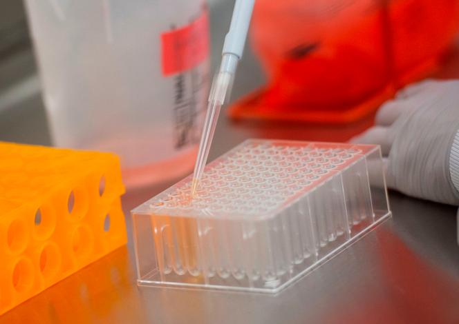 Dans les laboratoires de Novavax à Rockville, Maryland, aux Etats-Unis, le 20 mars 2020.