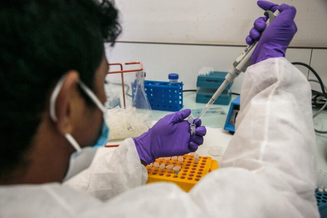 Un employé de l’Institut Pasteur de Madagascar effectue un test de dépistage du coronavirus, à Antananarivo, le 23 avril 2020.