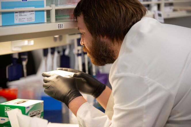 Test en laboratoire pour évaluer l’efficacité de l’hydroxychloroquine pour traiter le Covid-19, à Minneapolis (Minnesota), le 19 mars.