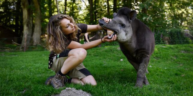 Dans la savane normande