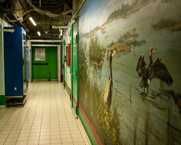 Le couloir menant à la salle des commandes de la centrale de Belleville-sur-Loire, le 27 mai 2020.